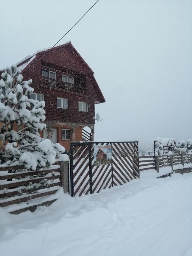 Cabana Ghetari Buitenkant foto